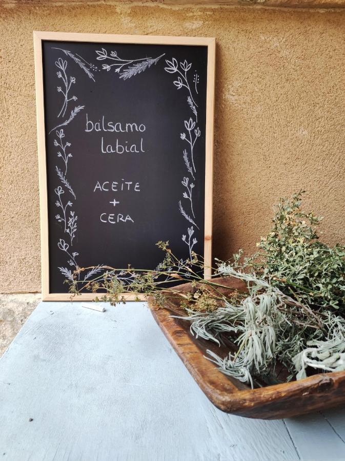 Guara Viva Abiego Apartment Екстериор снимка